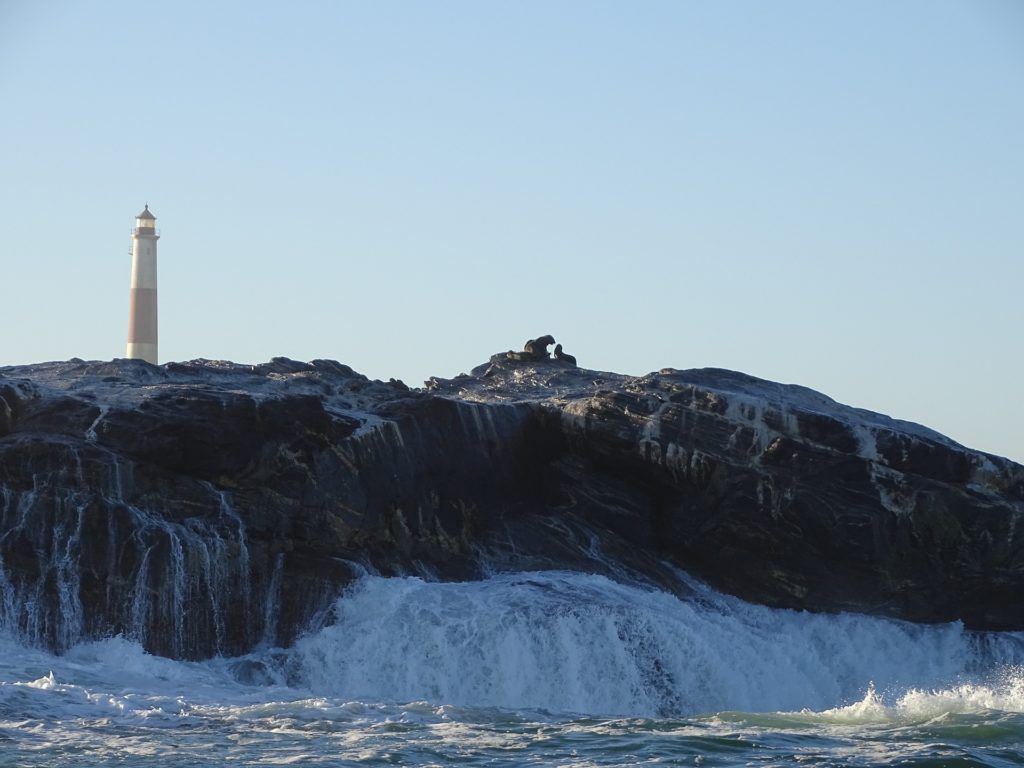 USa spesialisten Amerikaspesialisten, nordmannsreiser, cruisereiser