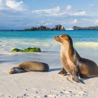 Cruise til Galapagos med Machu Picchu I Cruisereiser USa spesialisten Amerikaspesialisten, nordmannsreiser, cruisereiser